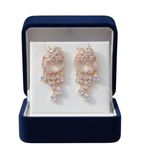 Solene Shimmer Dangle Earrings Party Wear